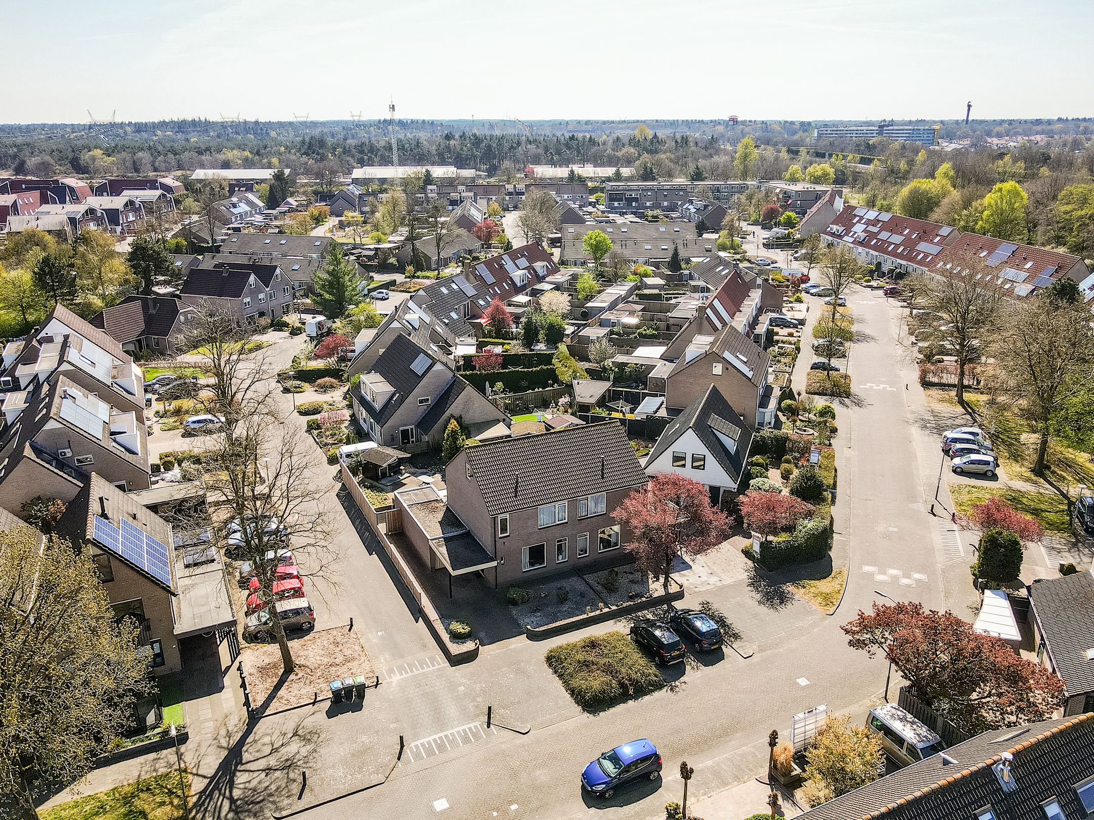 Foto 48 van Walstein 30