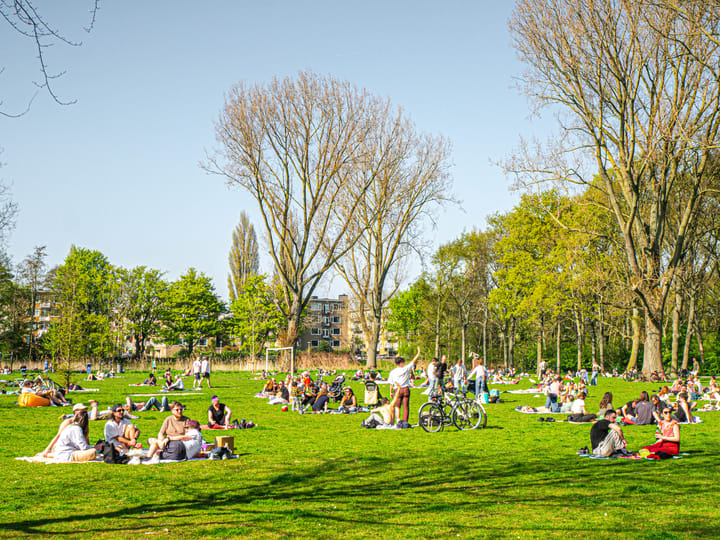 Foto 37 van Elegaststraat 13-3