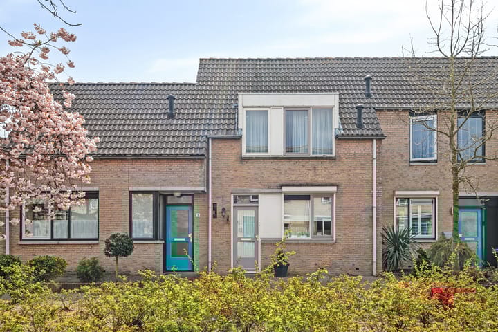 undefined main image