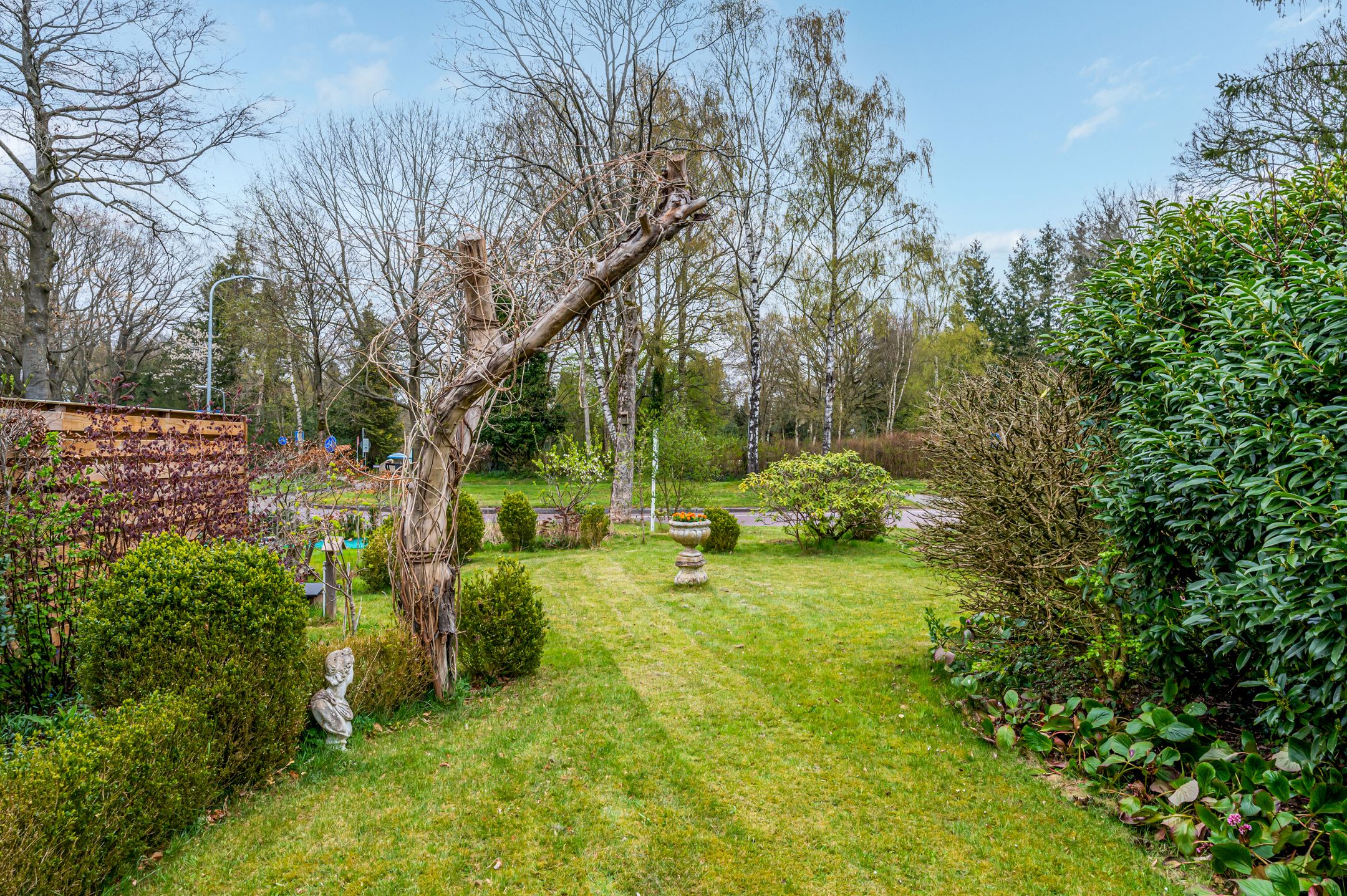 Photo 42 of Koningin Wilhelminalaan 8