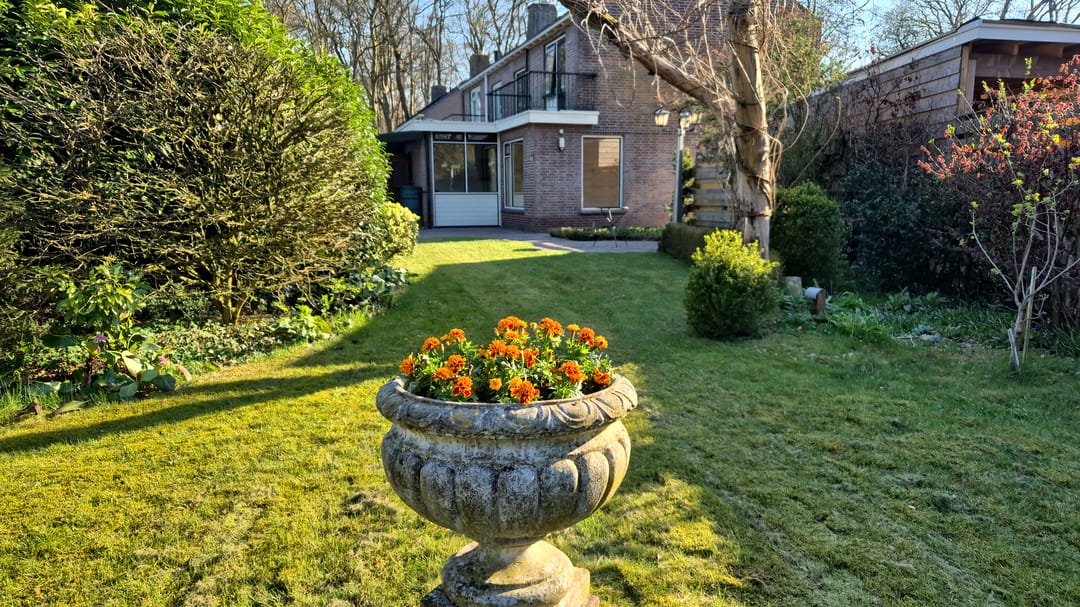 Photo 46 of Koningin Wilhelminalaan 8