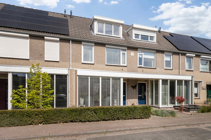 Witte Muntstraat 12