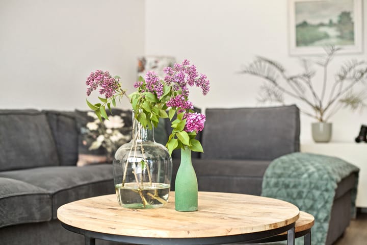 Foto 17 van Witte Muntstraat 12