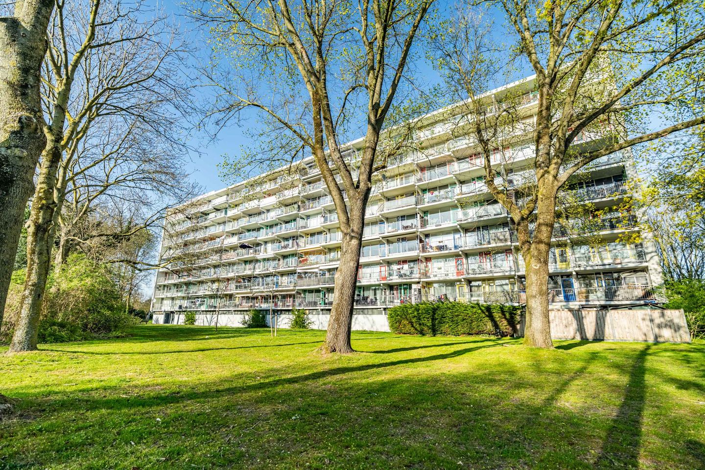 Foto 1 van Zijldonk 153