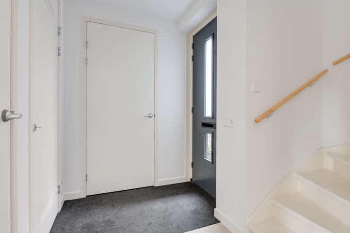 Foto 3 van Sleedoorn 6