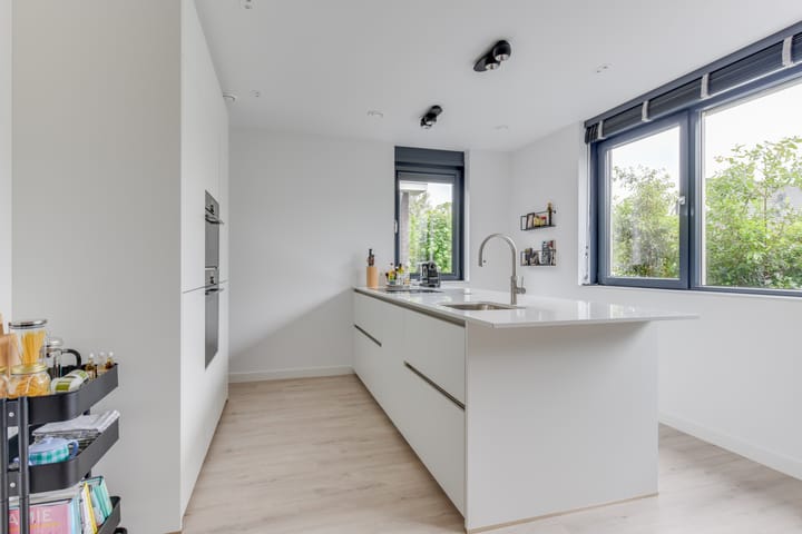 Foto 11 van Sleedoorn 6