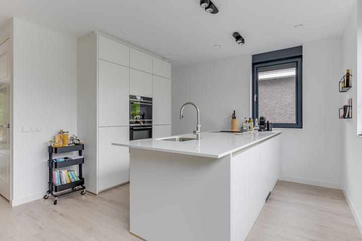 Foto 12 van Sleedoorn 6