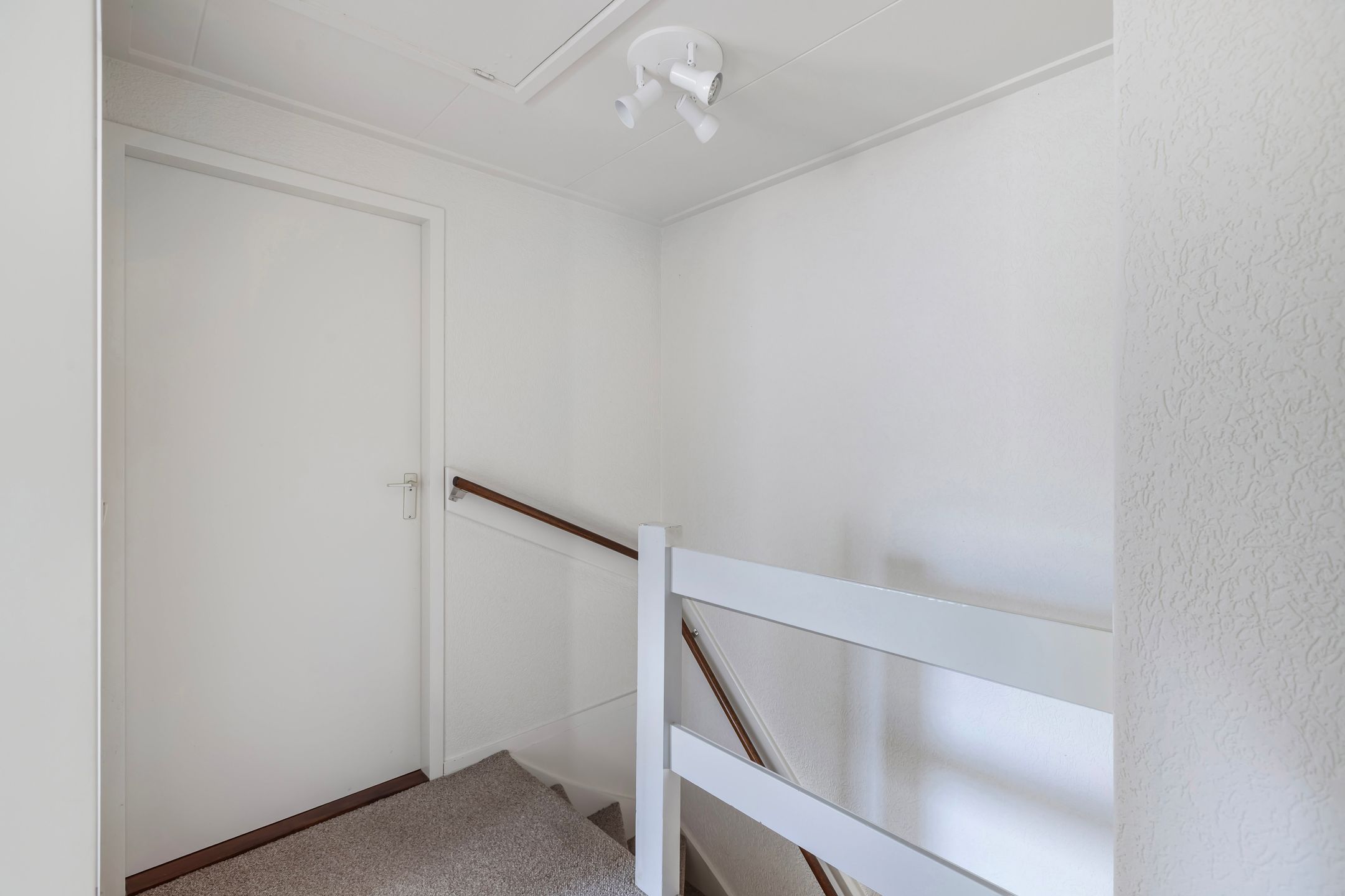 Photo 18 of Stienikkers 7