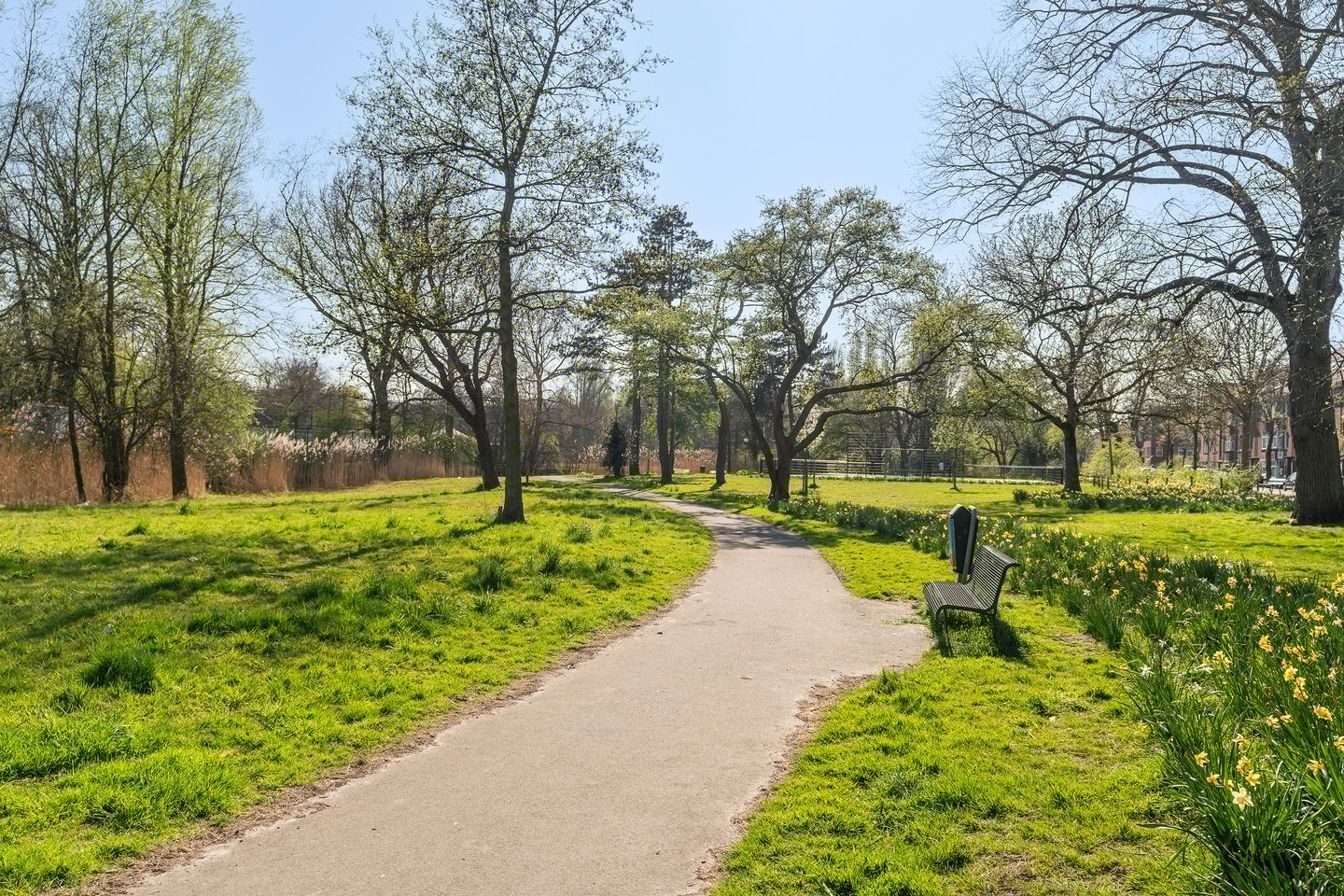 Foto 35 van Steenlaan 145