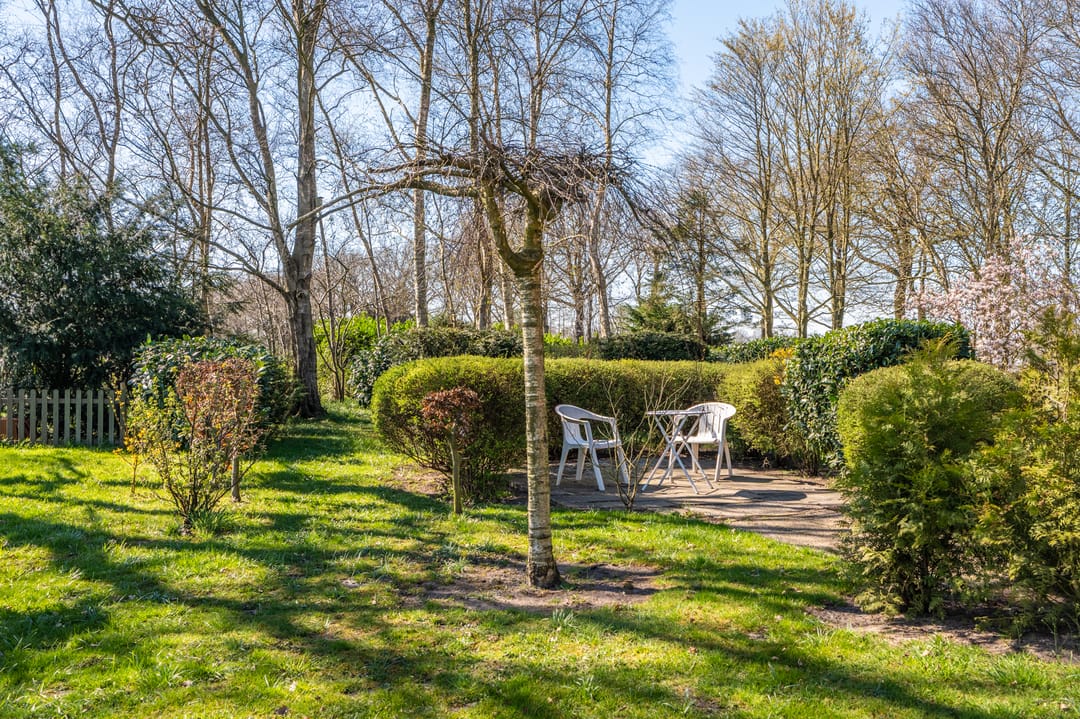 Photo 8 of Harpelerweg 57