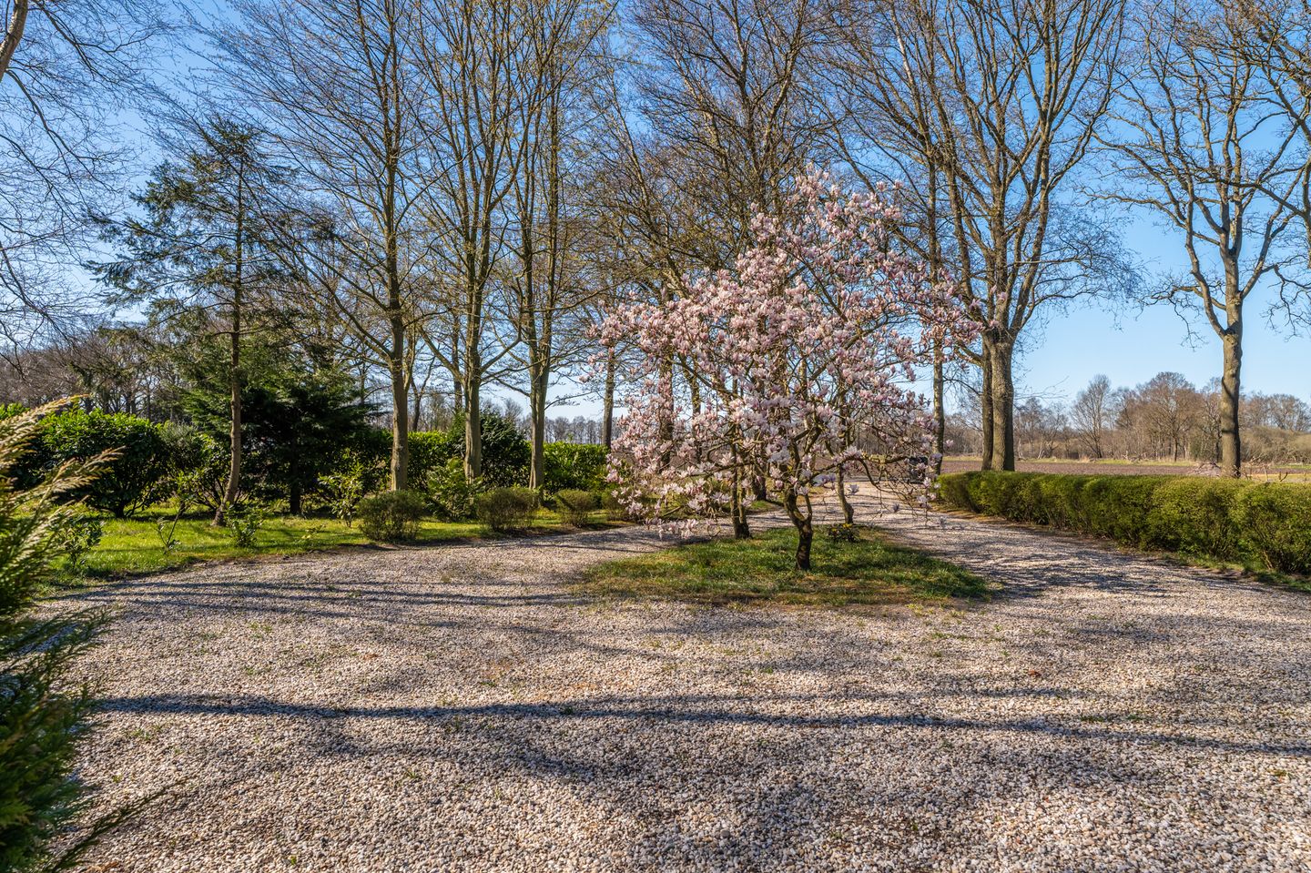 Photo 10 of Harpelerweg 57