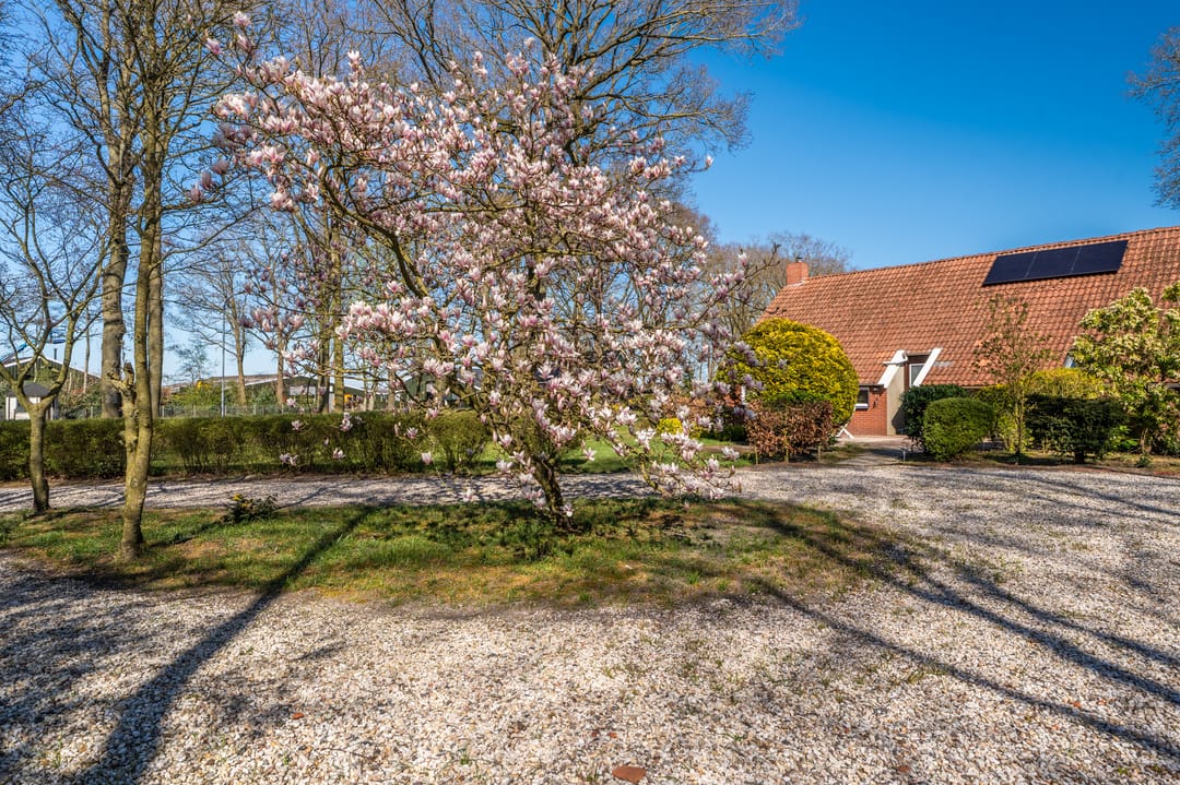 Photo 11 of Harpelerweg 57