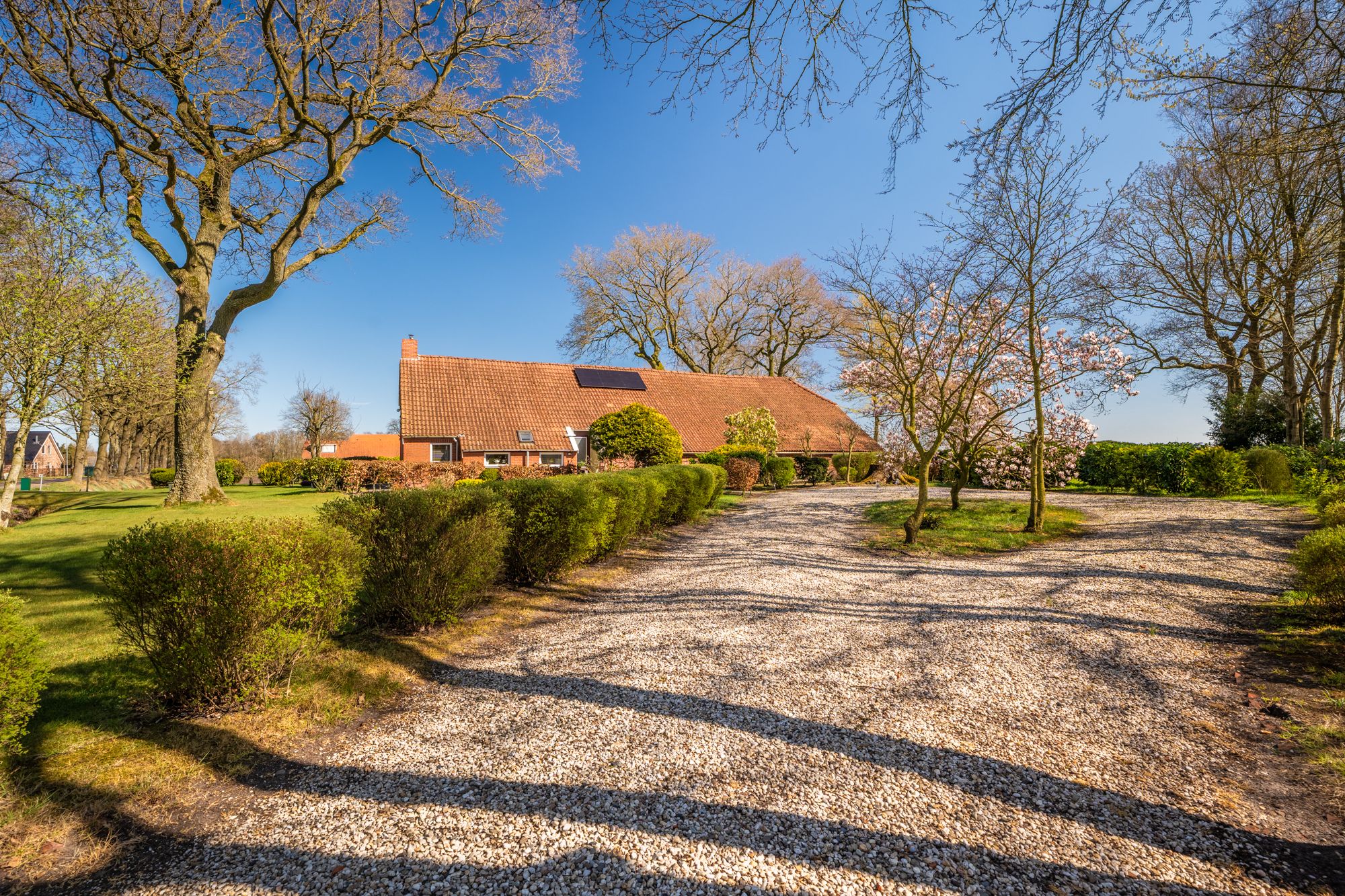 Photo 12 of Harpelerweg 57