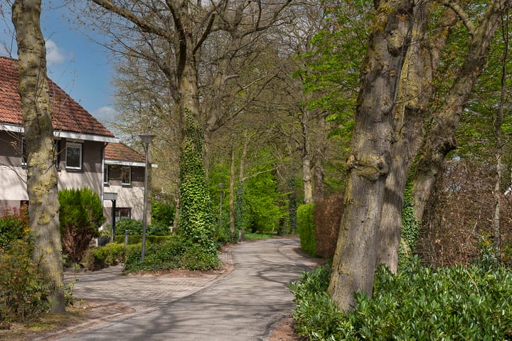 Foto 34 van Erve Jenneboer 4