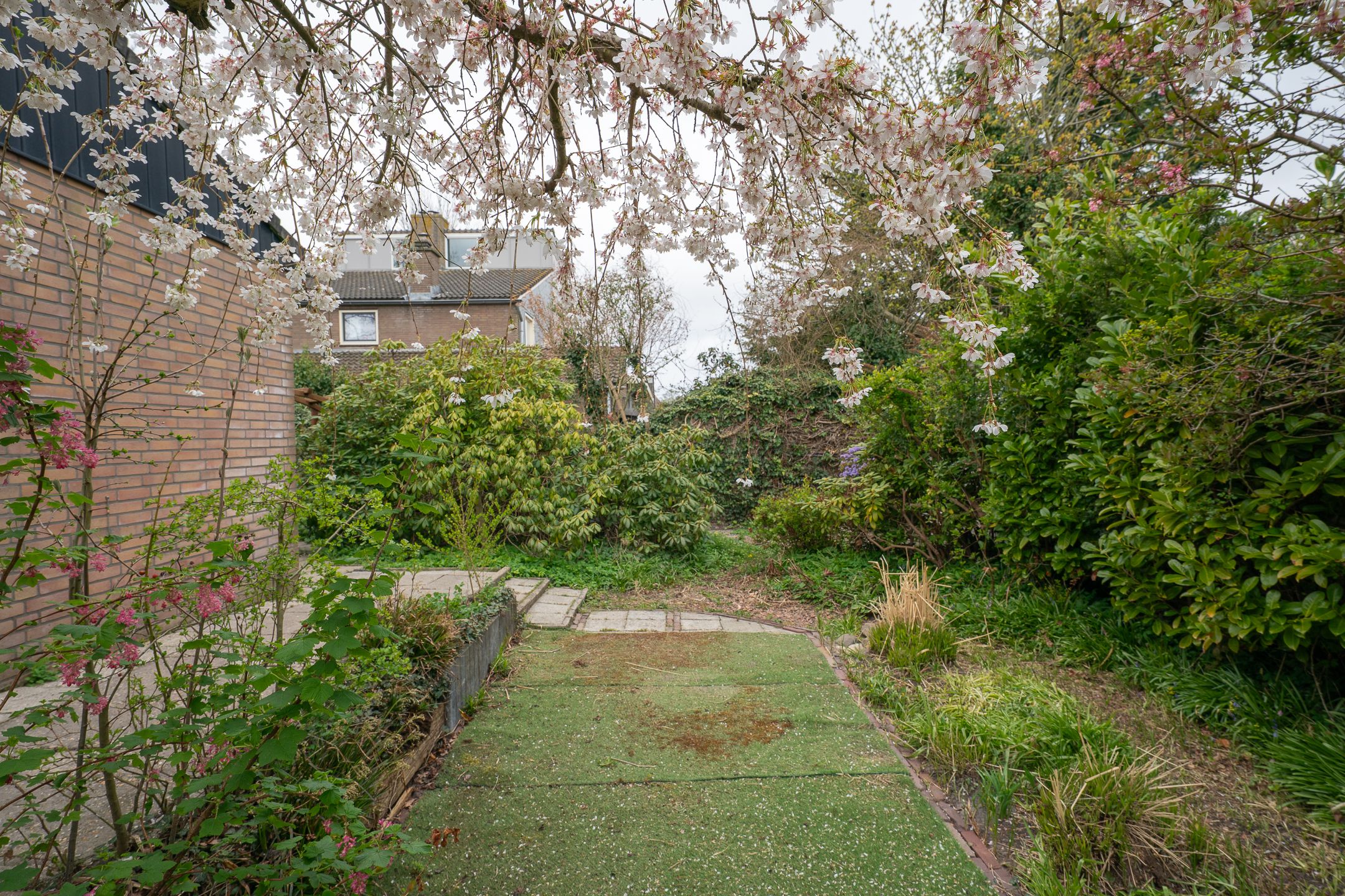 Foto 51 van Reigerweg 28