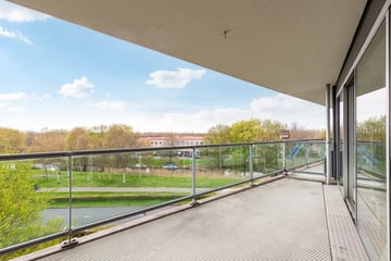 Salsastraat thumbnail
