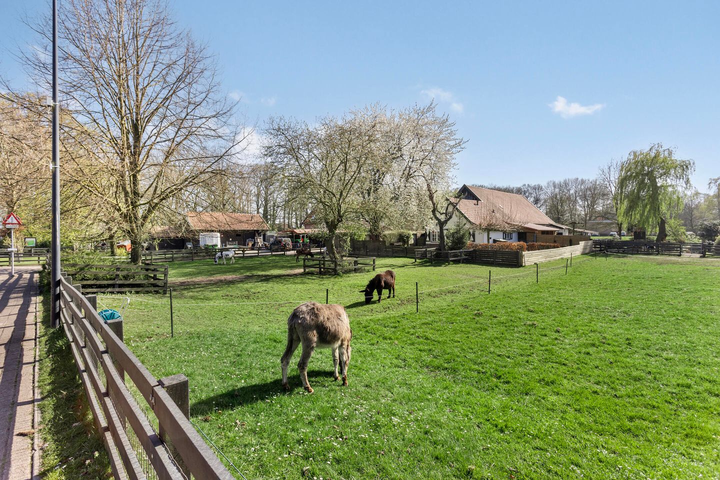 Foto 35 van Socratesstraat 296