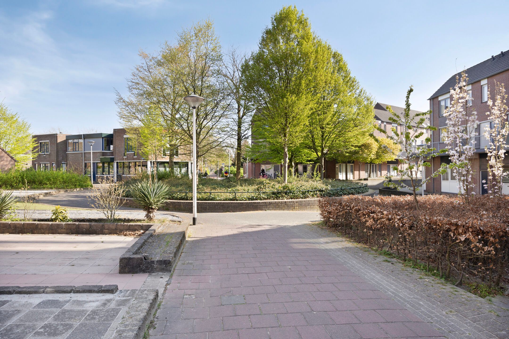 Foto 27 van Rijpelplein 17