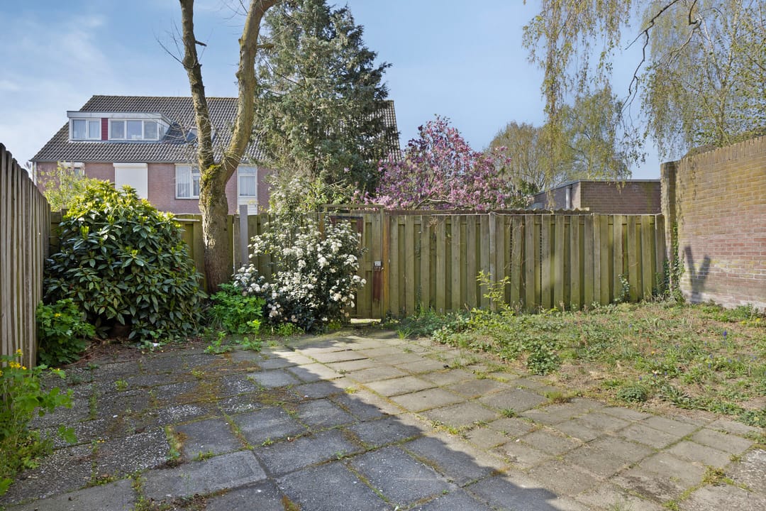 Foto 23 van Rijpelplein 17