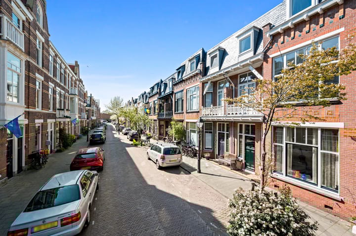 Foto 3 van Buijs Ballotstraat 55