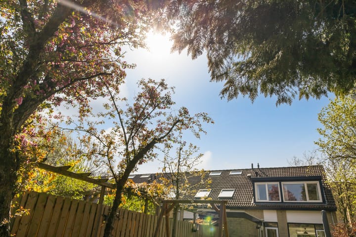 Foto 17 van Westfalen 6