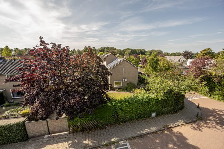 Foto 34 van Laan van Moerkerken 52