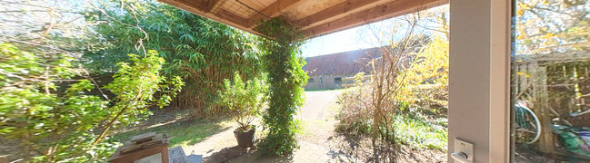 Achtertuin
