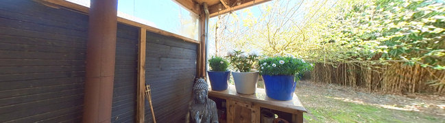 Achtertuin