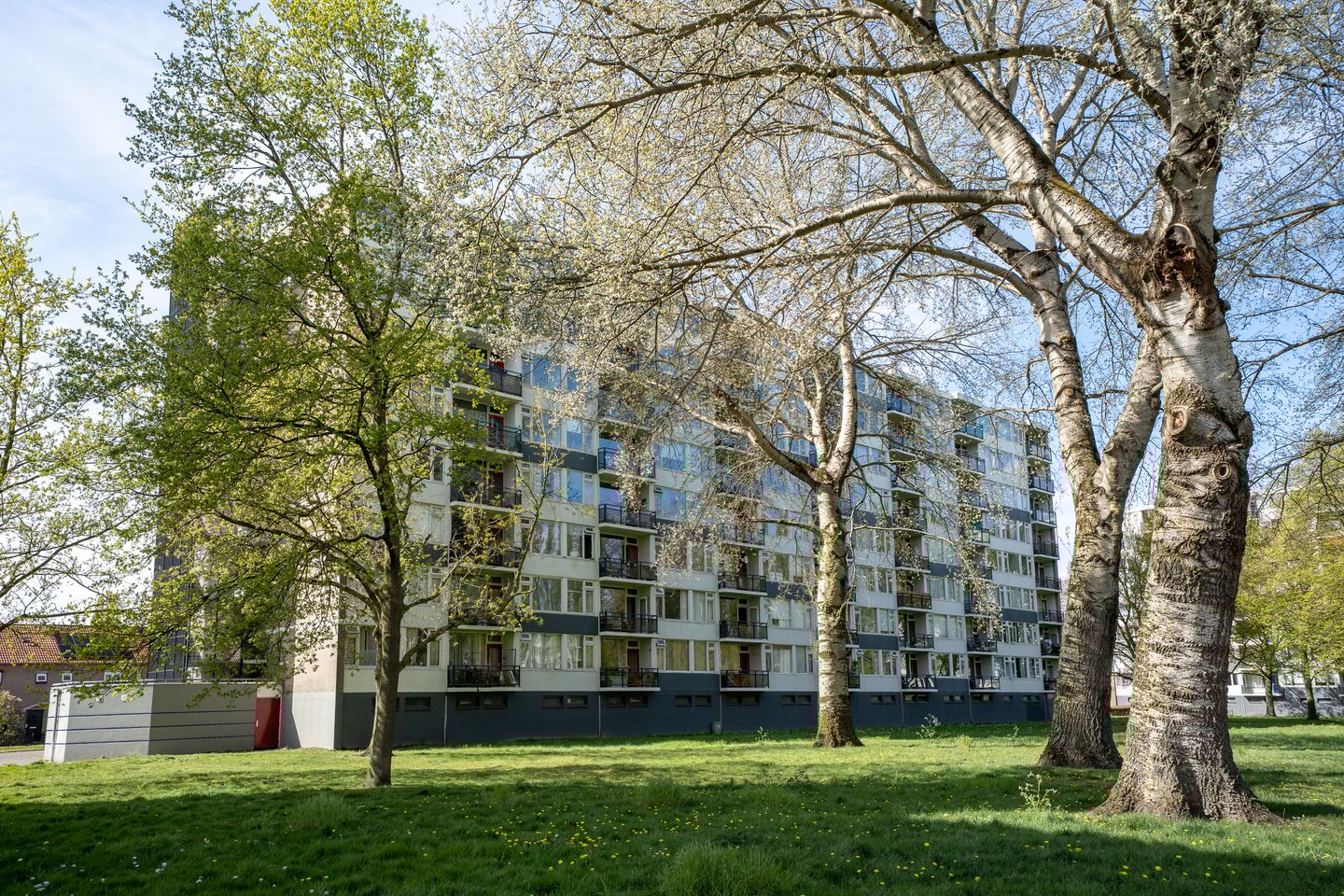 Foto 25 van Kasterleestraat 258