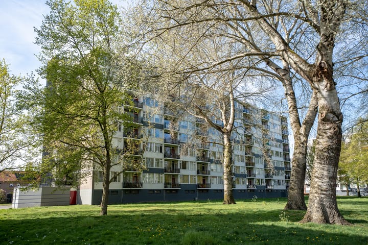 Foto 25 van Kasterleestraat 258