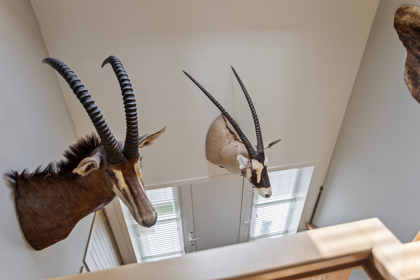 Photo 19 of Binnenpad 12-A