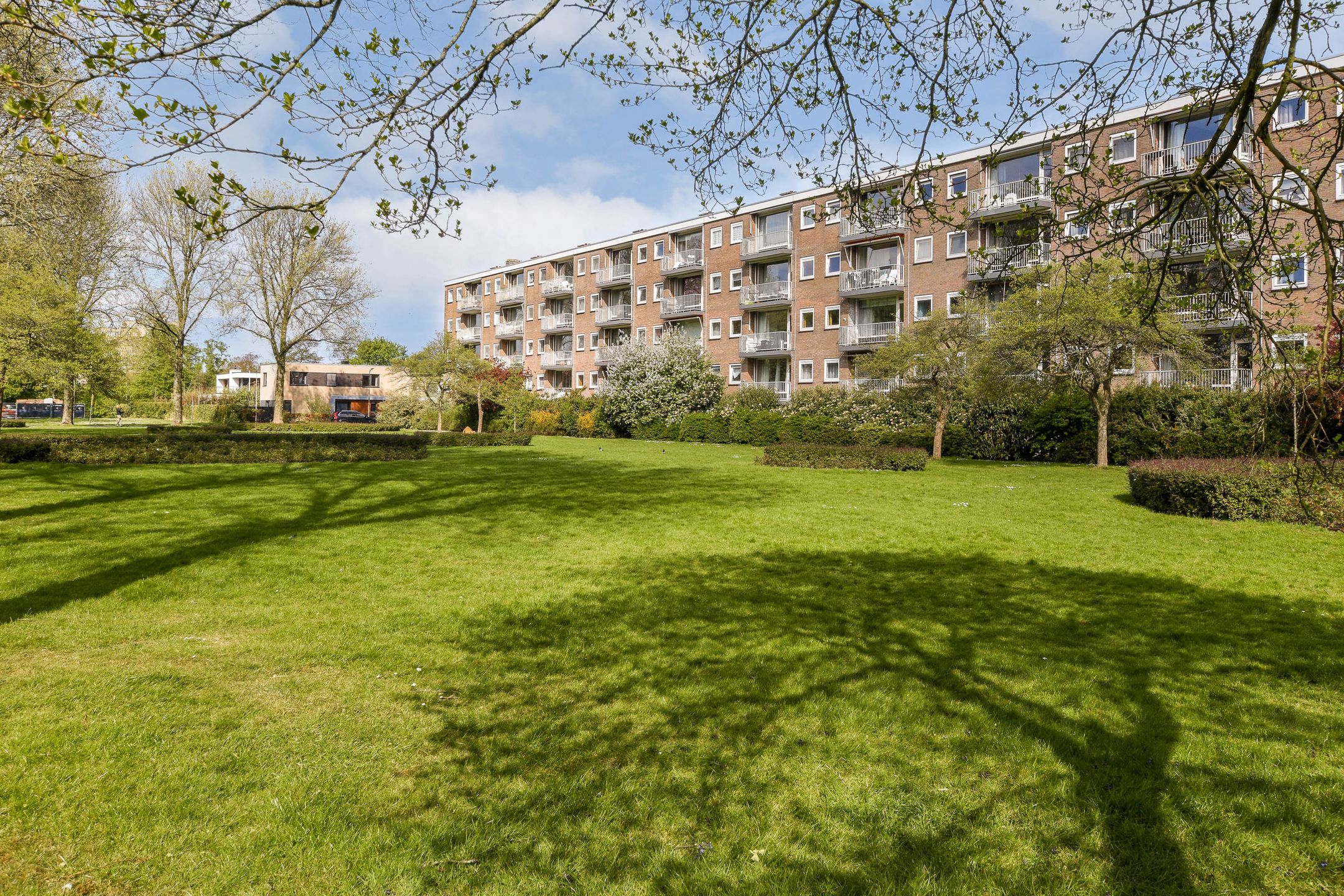 Photo 24 of Rozenoord 55