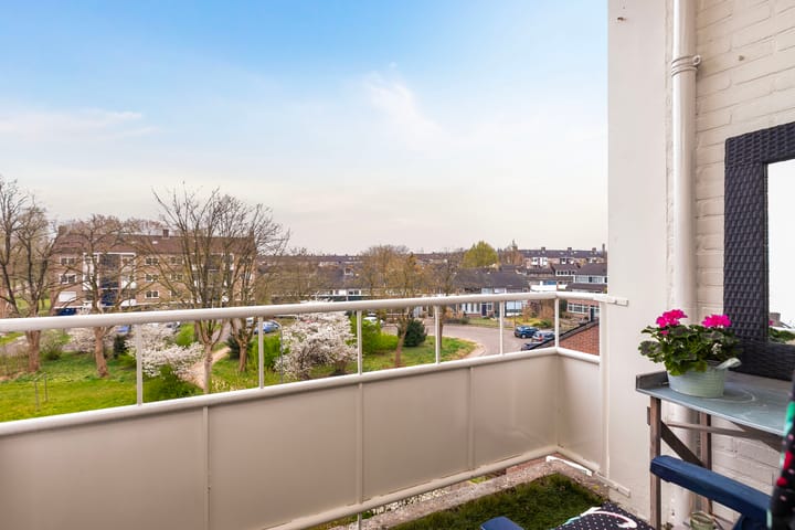 Foto 4 van Vogelplantsoen 165