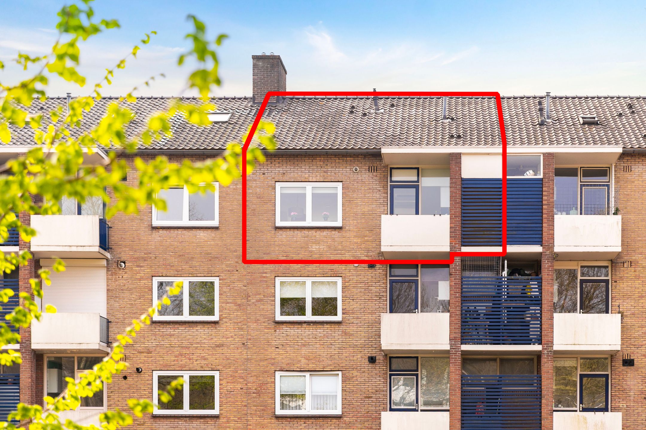 Foto 6 van Vogelplantsoen 165