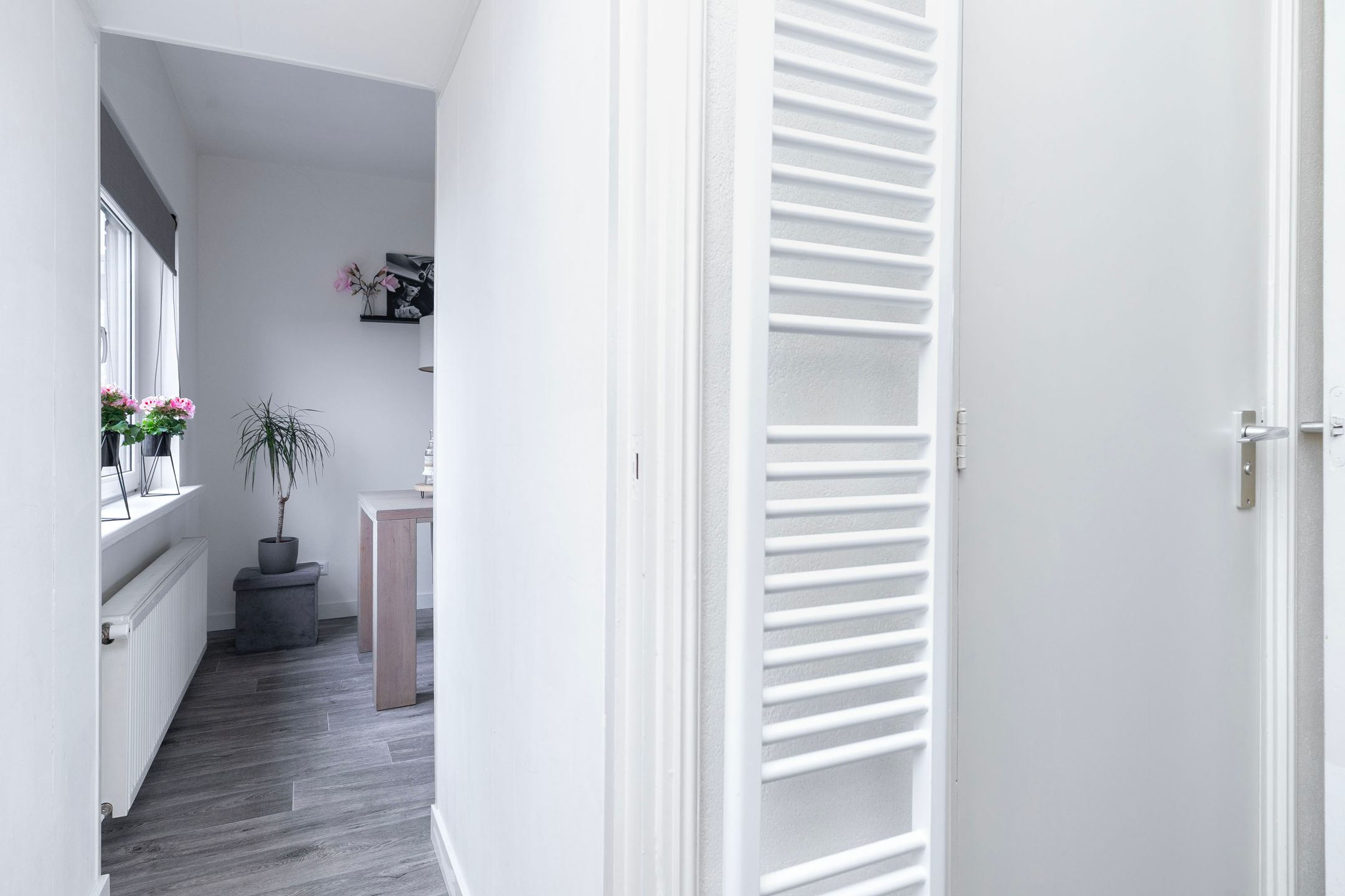 Foto 12 van Vogelplantsoen 165