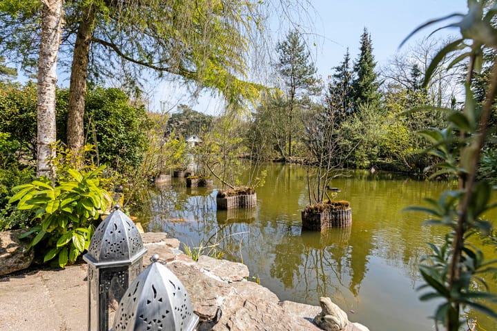 Photo 4 of Potdijk 8-D39