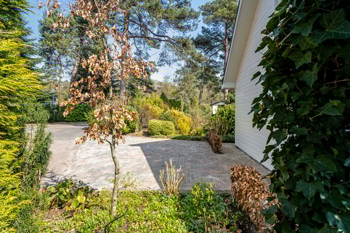 Photo 39 of Potdijk 8-D39