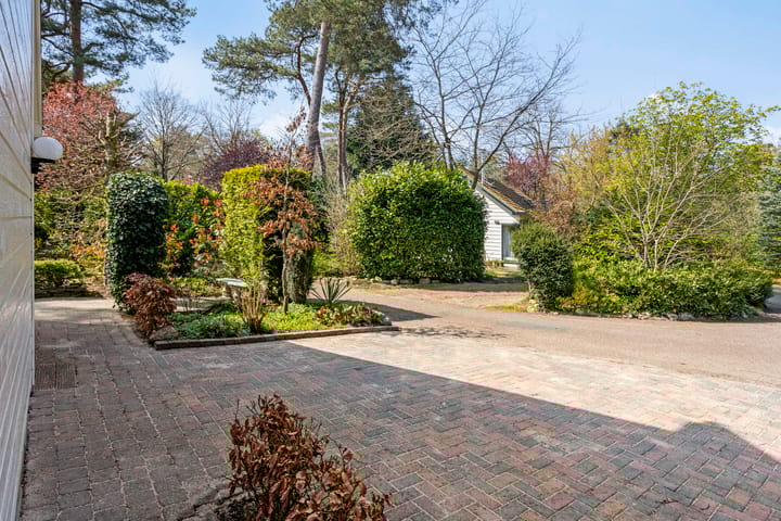 Foto 40 van Potdijk 8-D39