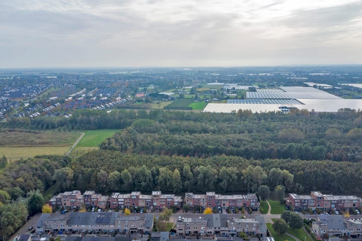 Photo 42 of Emily Brontësingel 88