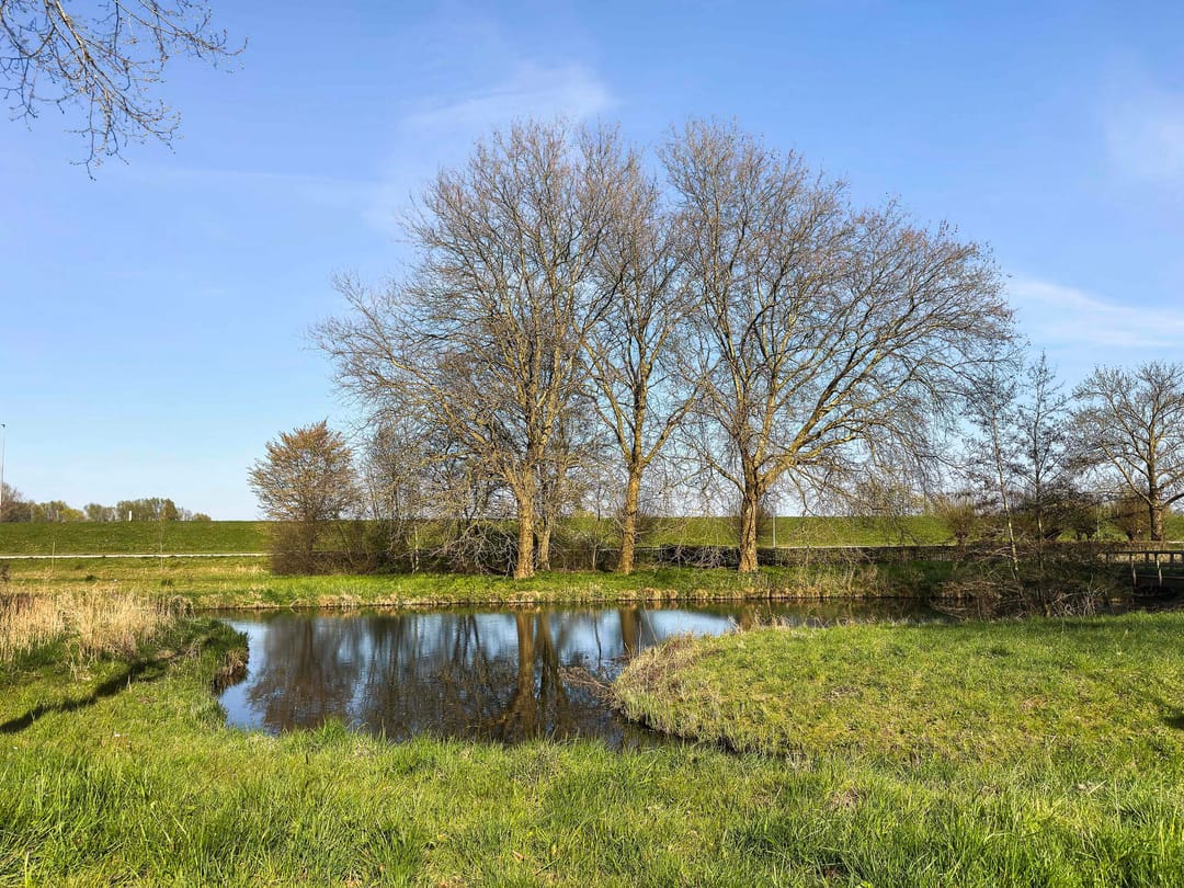 Foto 46 van Lageland 18