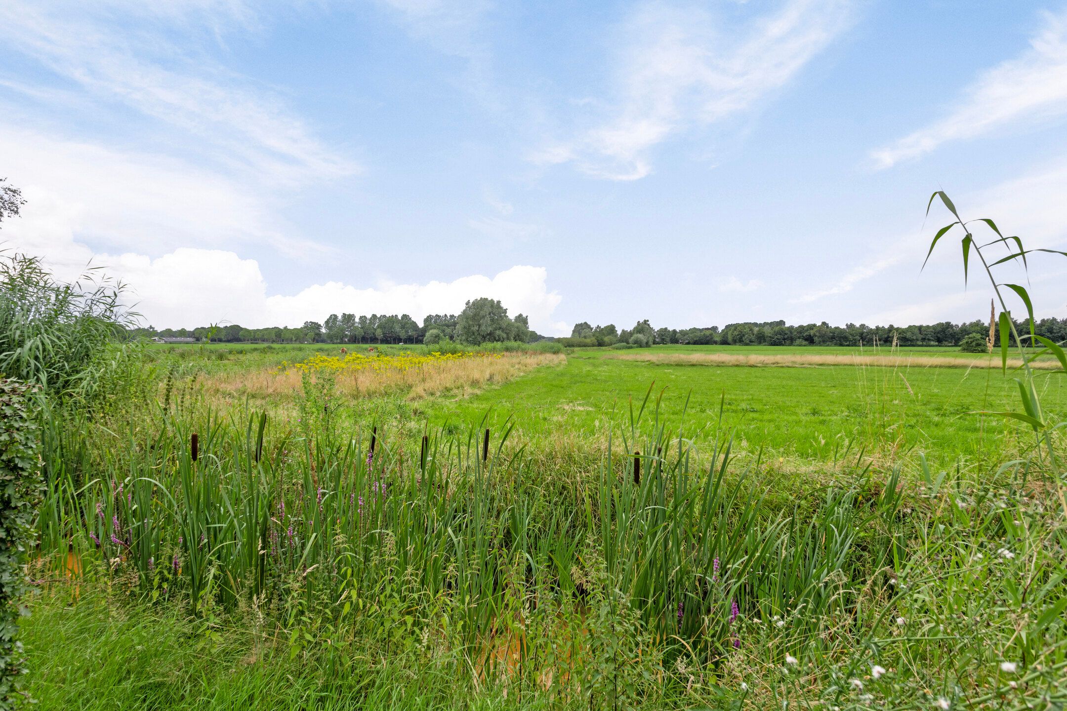 Foto 45 van Zwanenburgseweg 6