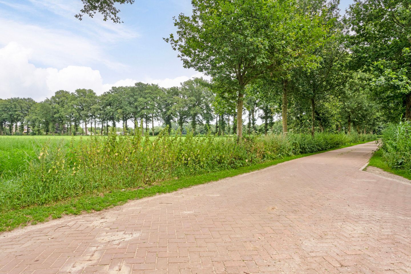 Foto 50 van Zwanenburgseweg 6