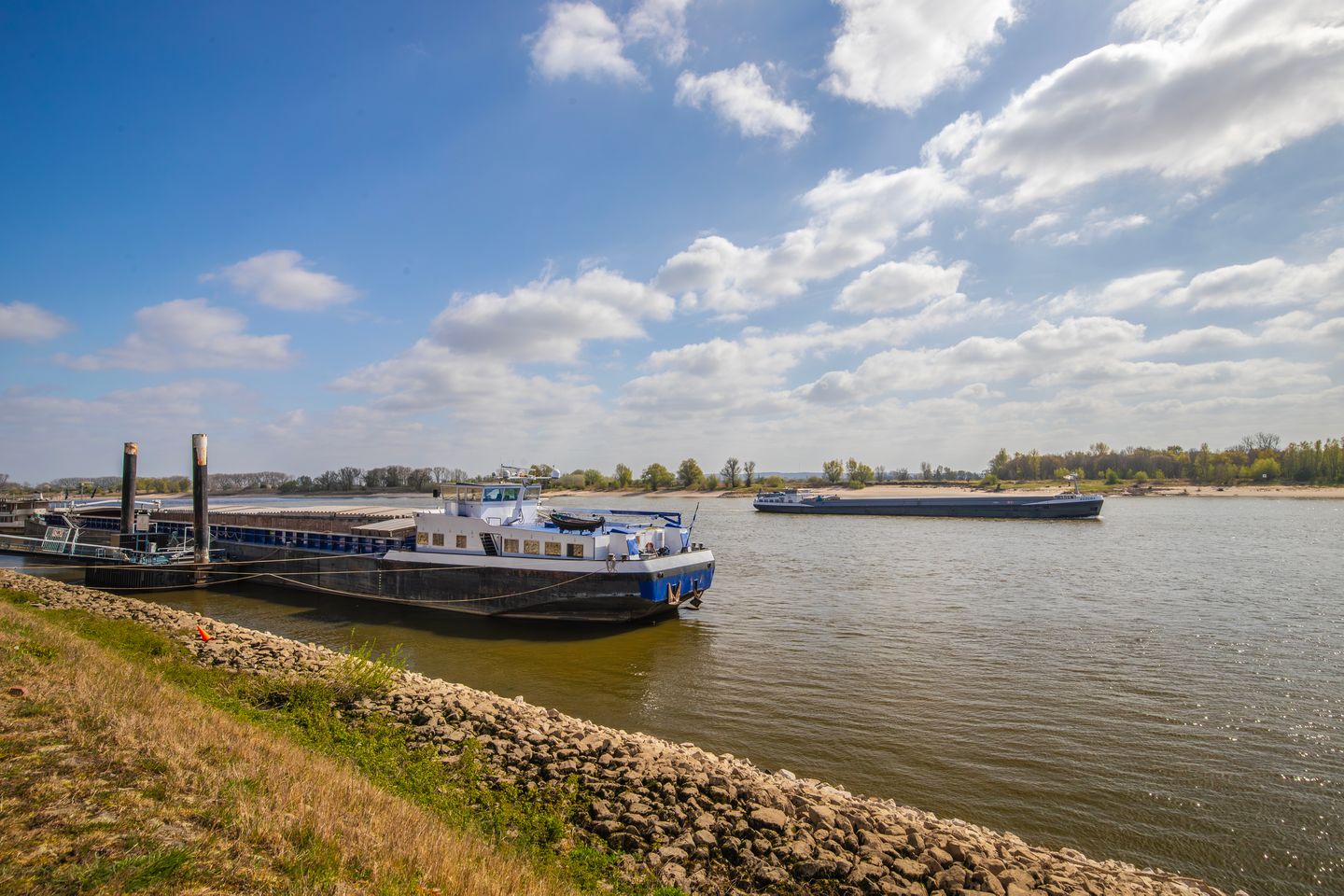 Photo 35 of Rheastraat 5