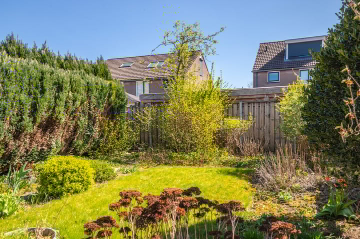 Foto 14 van Beyenstraat 8