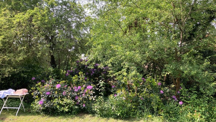 Foto 27 van Englaan 20