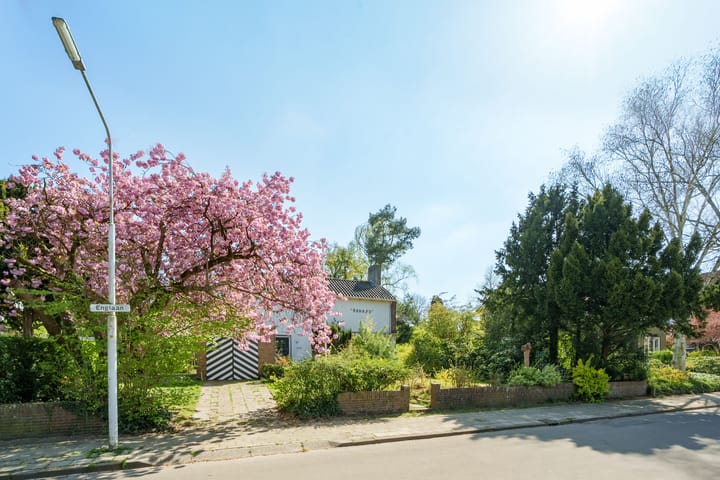 Foto 30 van Englaan 20