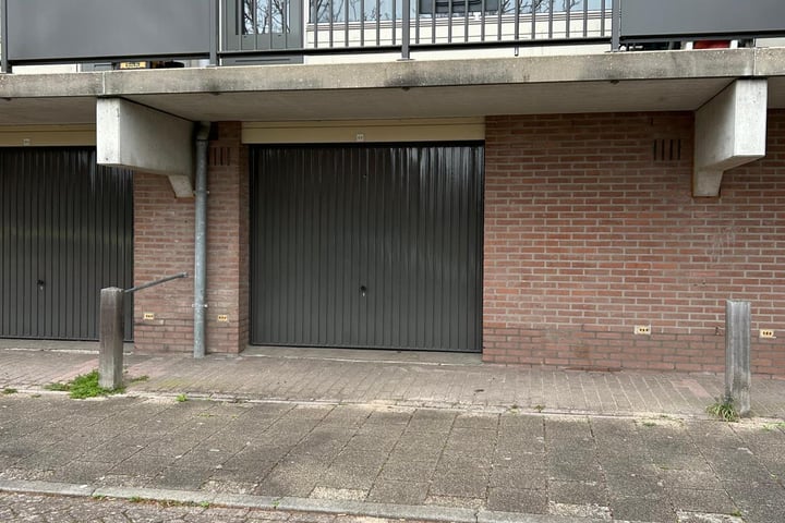 Goudvink 6