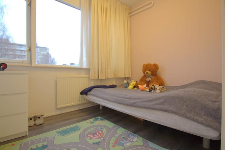 Foto 17 van Molengraaffplantsoen 17