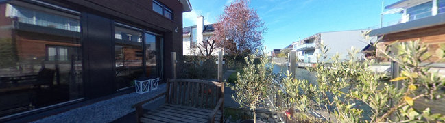 Achtertuin
