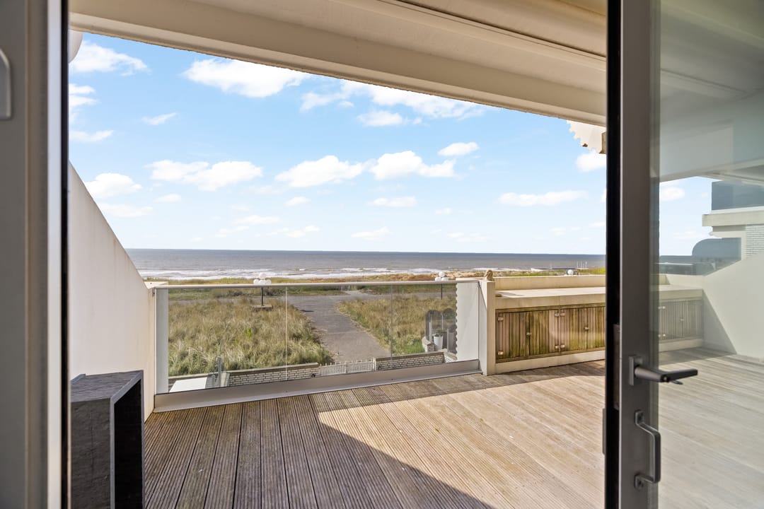 Foto 8 van Duindistel 7